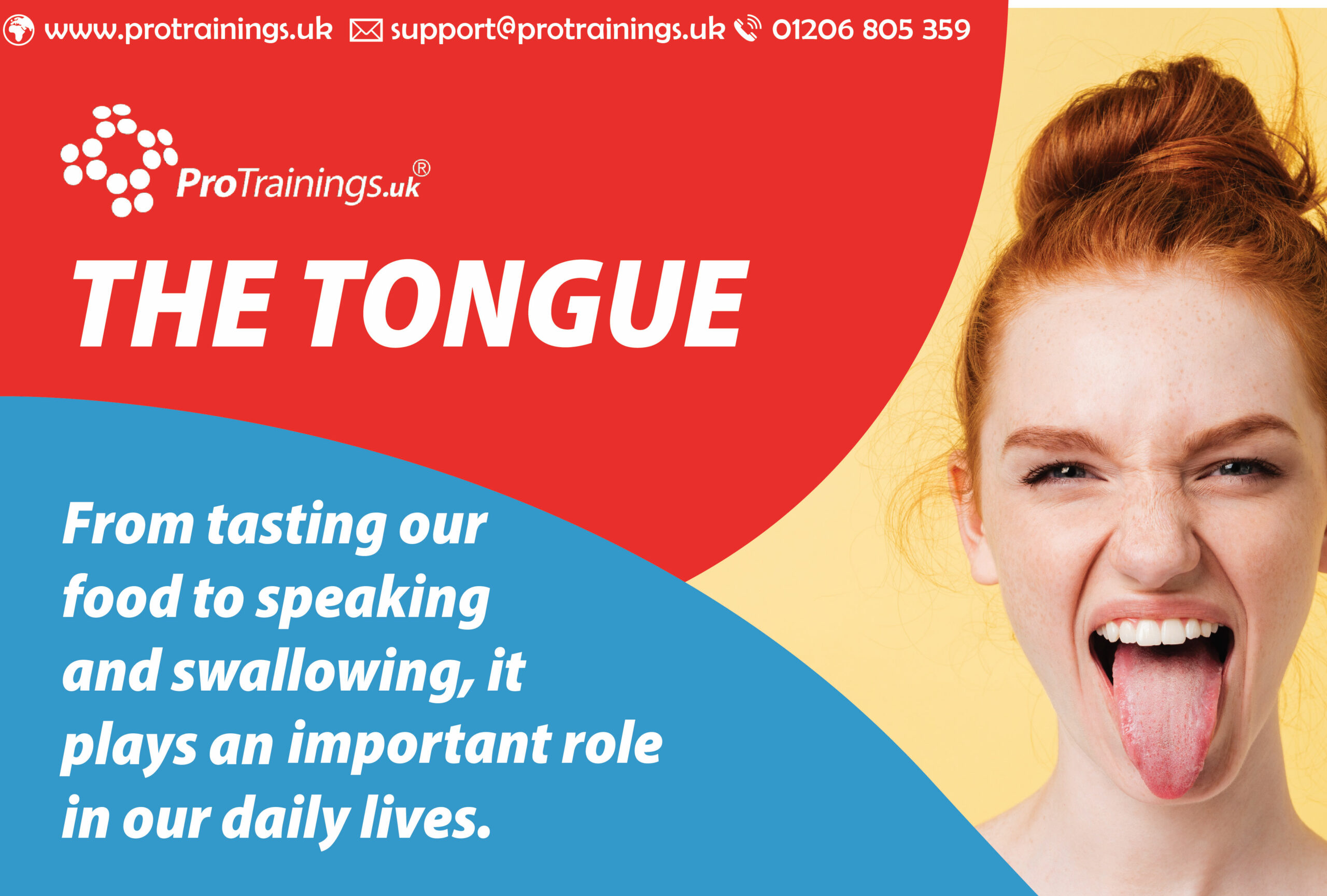 Learn more about the human tongue